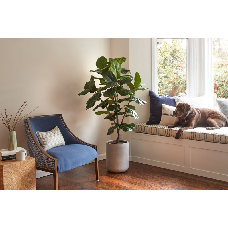 5FT Artificial Fig Tree KD