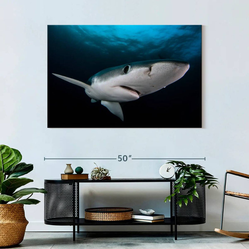 Brampt Underwater Blue Shark, 32" H x 48" W