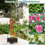 Lit de jardin avec treillis