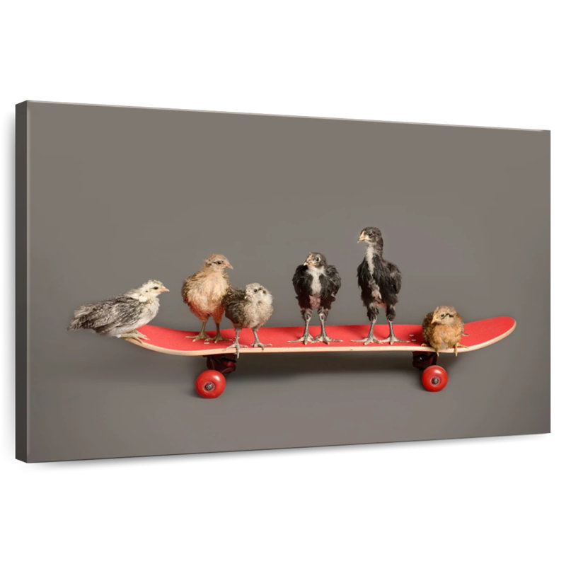 Brampt, poussins sur une planche à roulettes, H 20 po x l 30 po