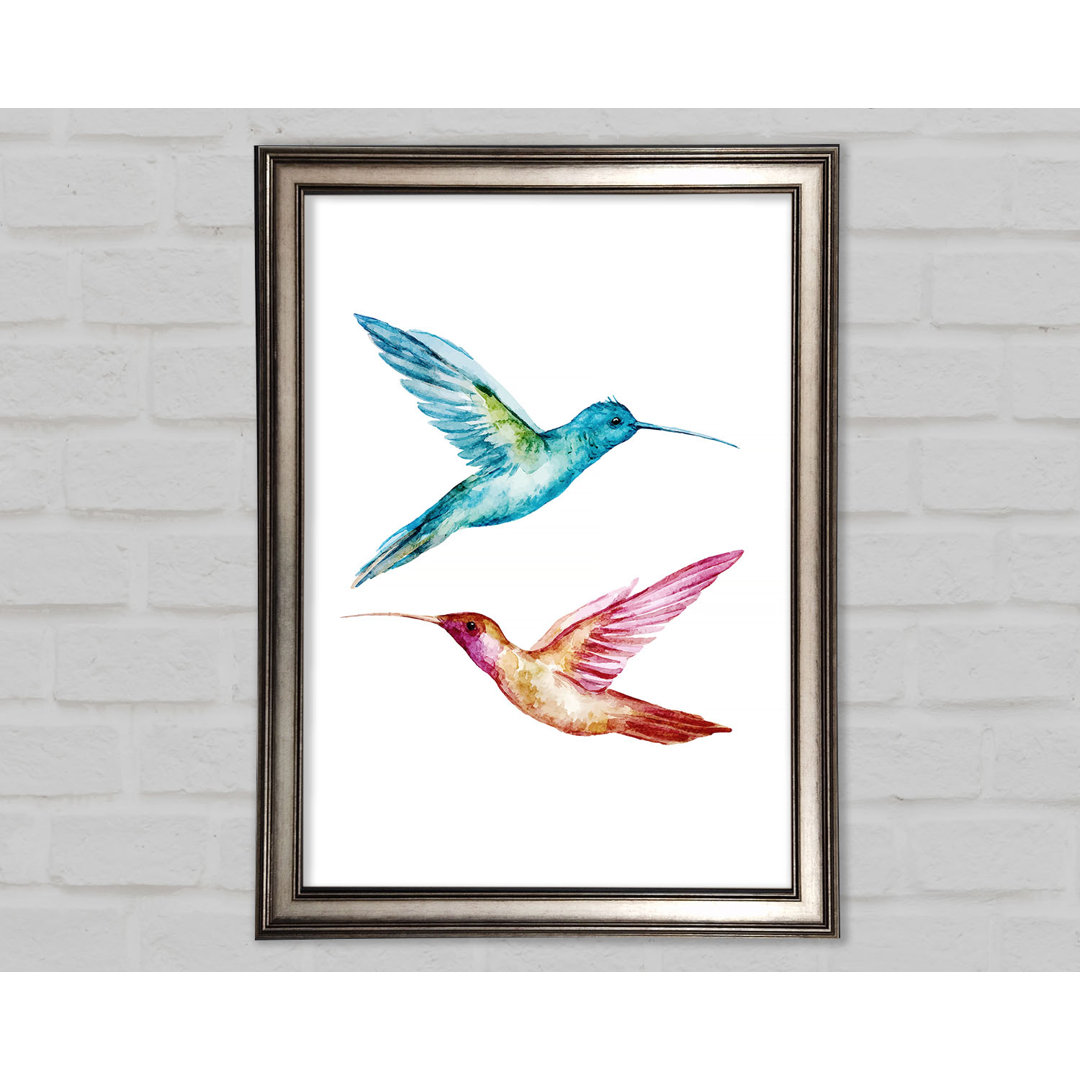 Aleta Hummingbird Duo Gerahmter Druck Wandkunst