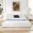 Queen Size Upholstered Bed Frame-1081079192