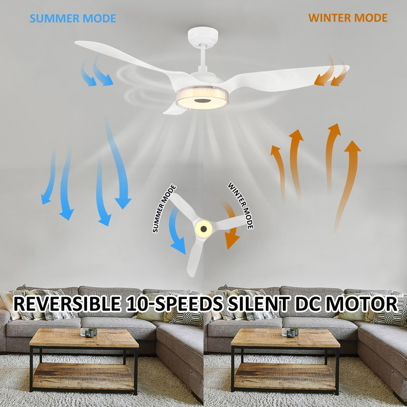 Amonii 56'' Ceiling Fan with LED Lights, White