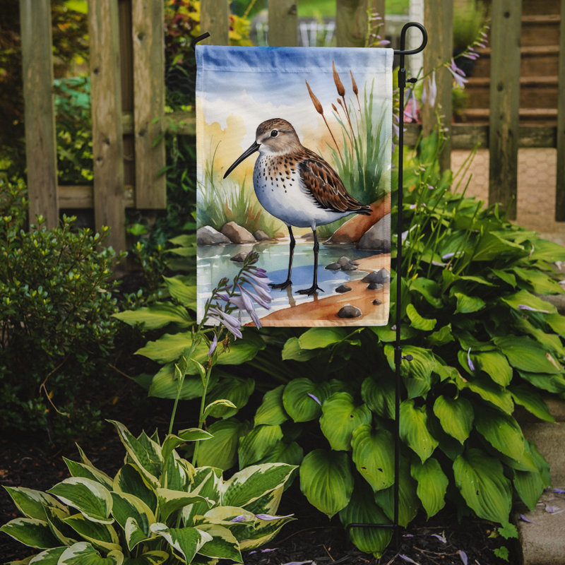 Drapeau de jardin Surfbird Bird, Dunlin