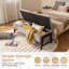 Banc de rangement moderne avec coussin éponge haute densité George Oliver