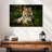 Brampt Mighty Tiger-107689942