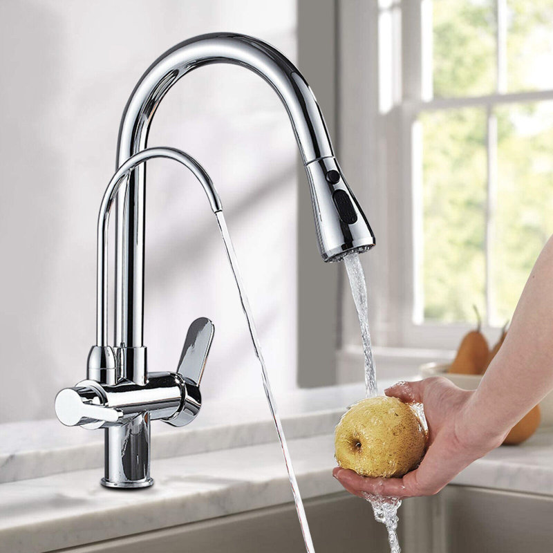 Belfry Kitchen Wilburg Pull Out Kitchen Faucet