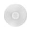 Siam 8-Light 78.7" Flush Mount-116191285-116191288-116191289