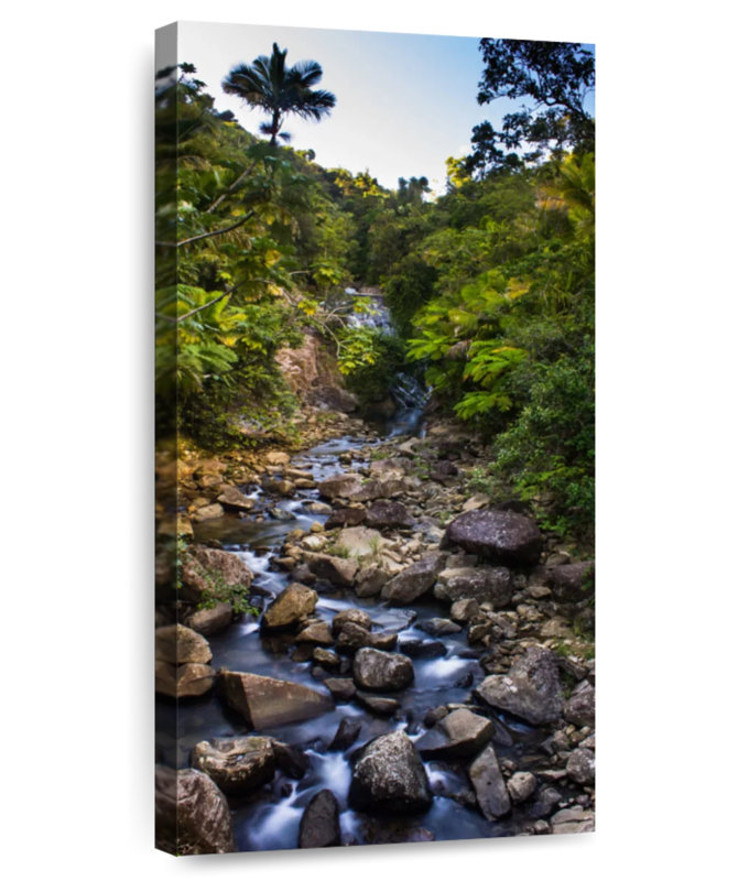 El Yunque Stream