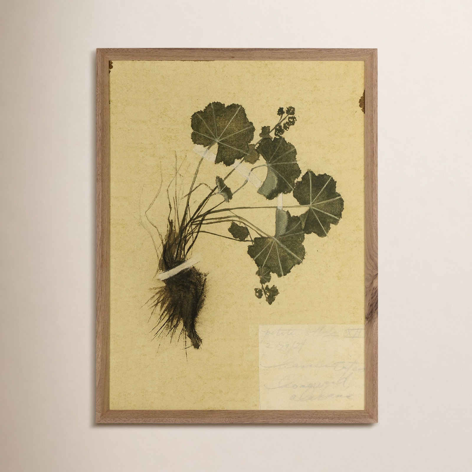 Petite Study No. V by Hannah Winters, 24" H x 18" W