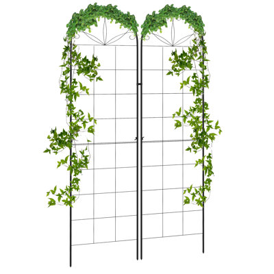 Verdon Garden Trellis Metal Trellis for Climbing Plants 50 x 180cm