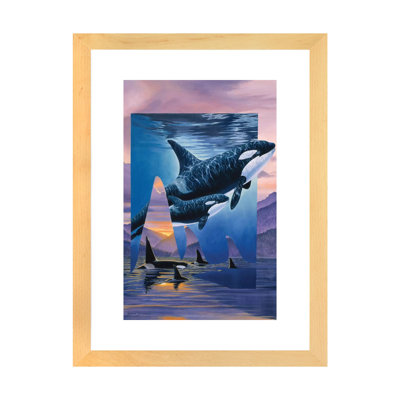" Orca Song " by Graeme Stevenson
