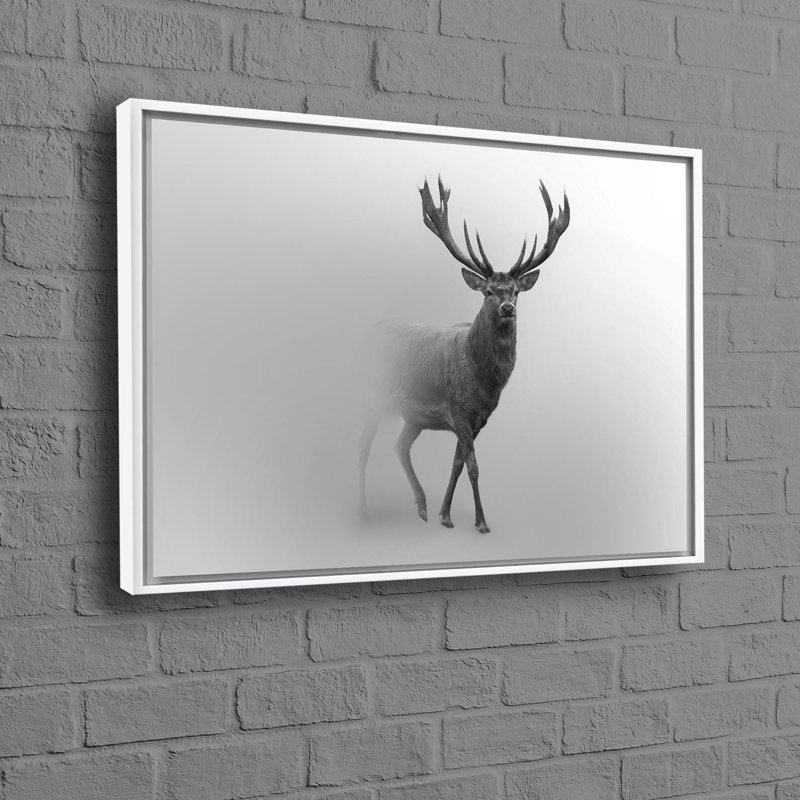 Print on Canvas, White Floater Framed, 40 cm H x 60 cm W