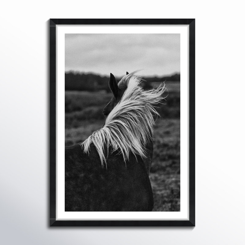 Horse Back - Picture Frame Photograph