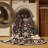 Machine Washable Persian Brown Area Rug-1544851579