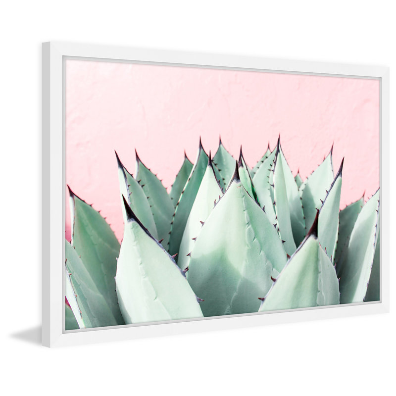 Abdirazaq Sweet Succulents - impression sur papier, Cadre blanc, H 8 po x l 12 po x p 1,5 po