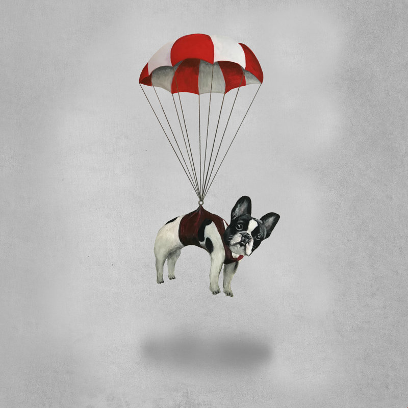 «Flying Frenchie» par Coco de Paris - impression, H 30 po x l 30 po, Oui, Cadre simple argenté