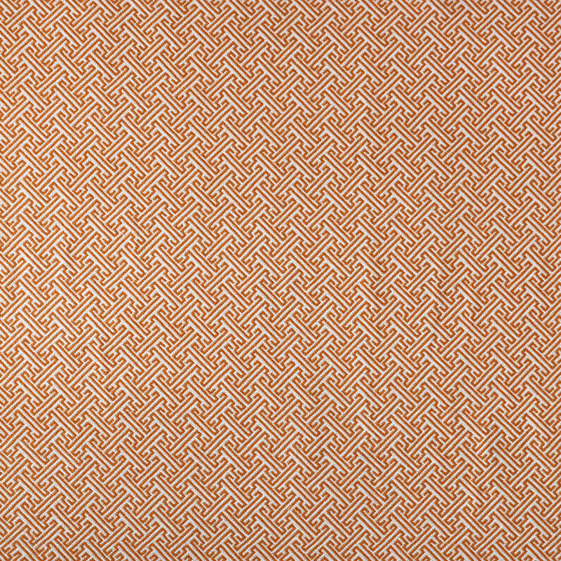 Indigra Fabric