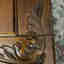 Customer photo 2 of 2