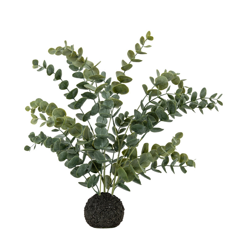 Eucalyptus In Soil Faux Eucalyptus Plant, 51 H x 30 W x 30 D cm
