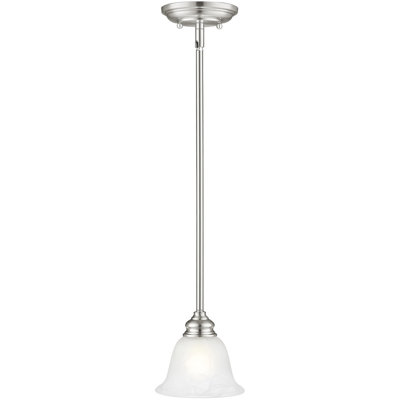 Luminaire suspendu en dome à 1 lumière