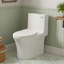 Dual-Flush Elongated Toilet with 12" Rough-In, 1.1/1.6 GPF Water-Saving, 1000g MAP, in Sleek White Ceramic