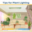 Raven ZZ Plant in Planter