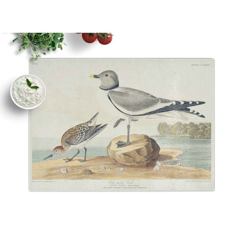 Tempered Glass Fork-Tailed Gull by John James Audubon Chopping Board, 39 cm x 28.5 cm