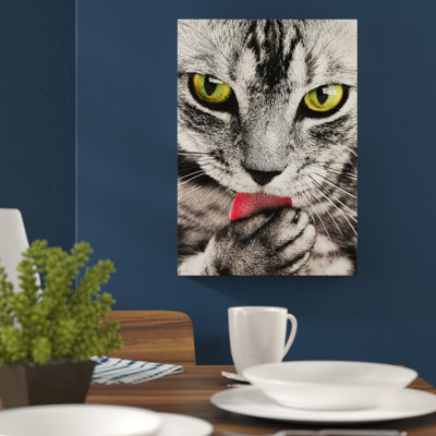Tabby Licking Paw Photographic - Wrapped Canvas