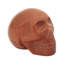 Buste Carruthers Skull Goldstone