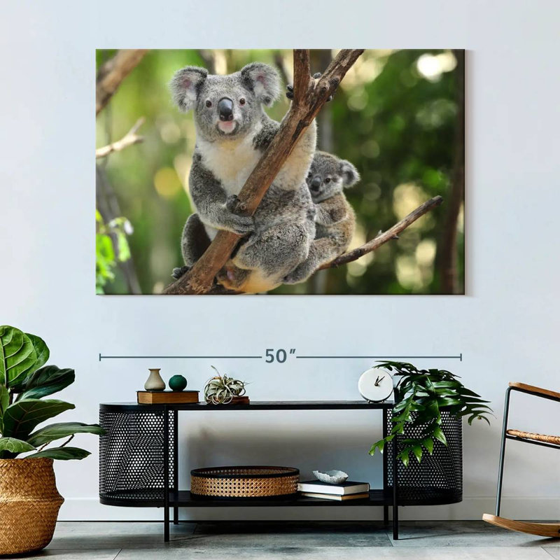 Australian Koala Bears, 34" H x 51" W