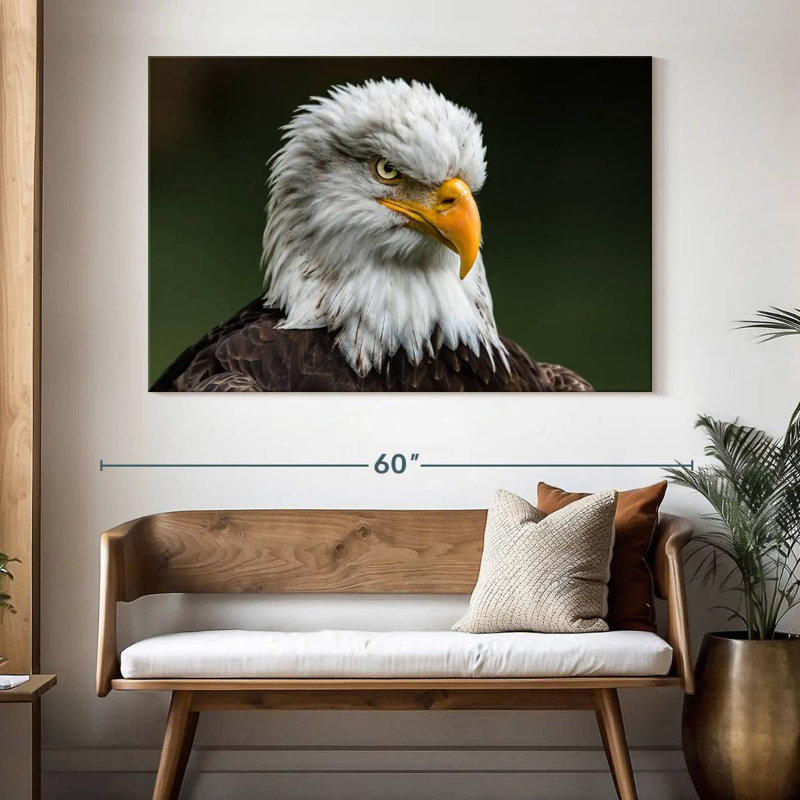 Brampt Bald Eagle Stare, 34" H x 51" W
