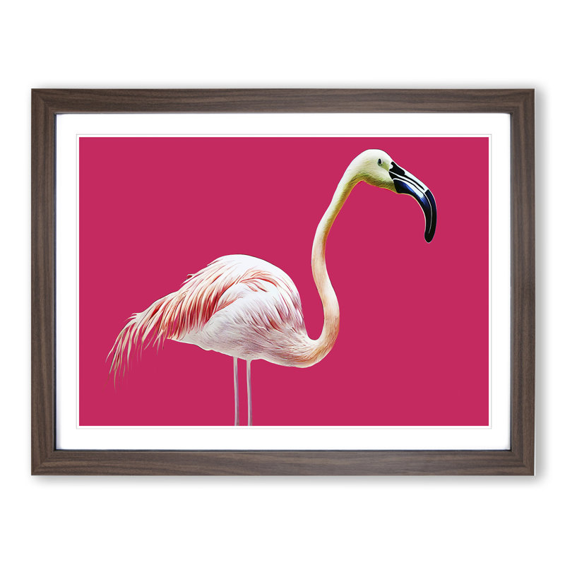 Tranquil Flamingo - Single Picture Frame Print, 25cm H x 34cm W x 2cm D, Walnut Framed