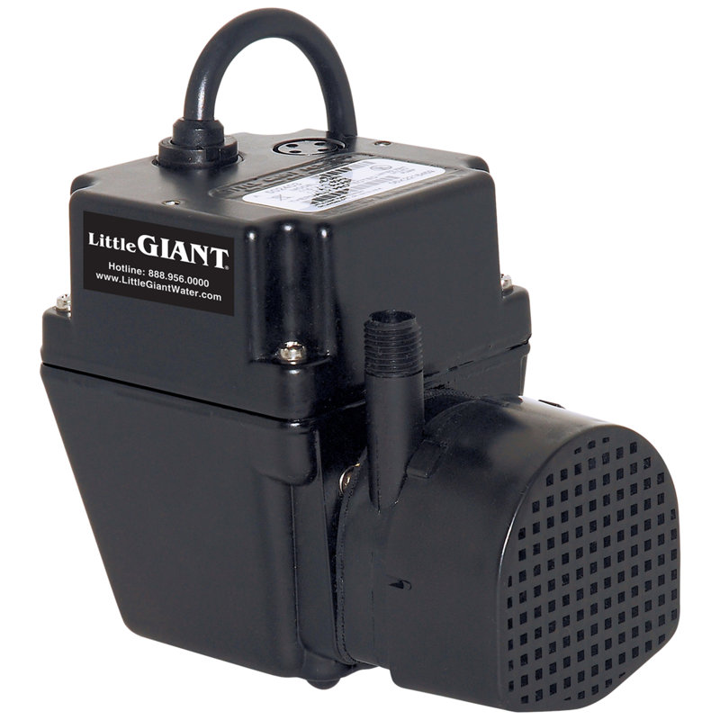 Pompe utilitaire submersible à courant alternatif en aluminium 1/40 HP 300 gph Little Giant