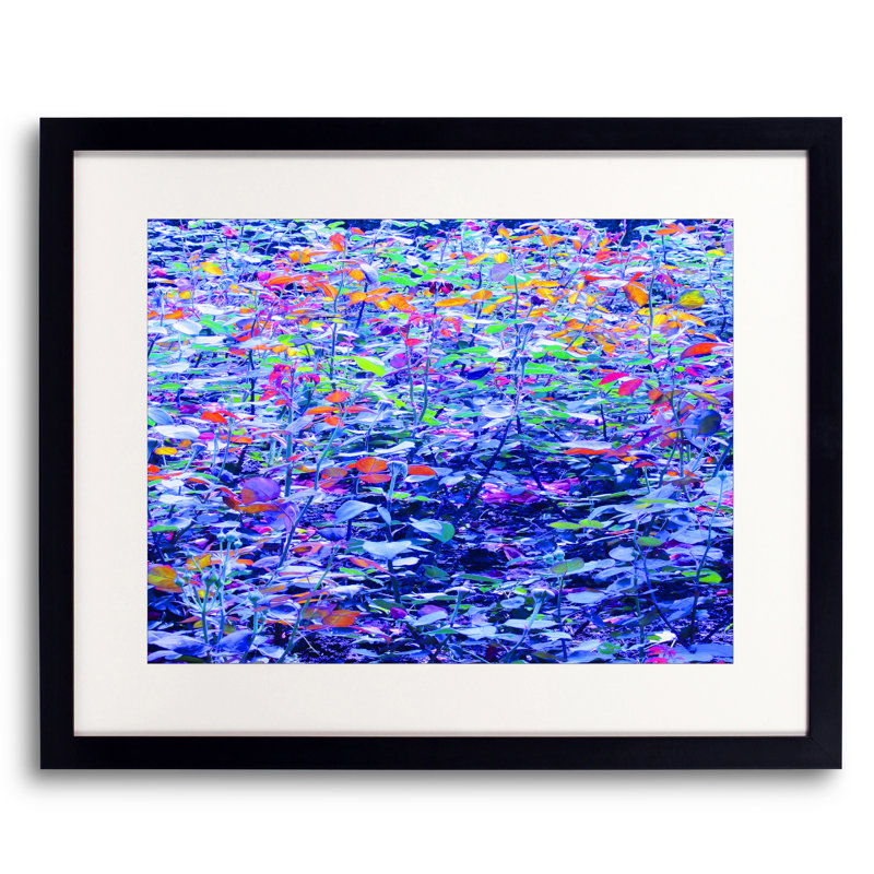 Blue Density Print by Drew Gaffney, Black Framed Paper, 25.25" H x 31.25" W