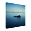 Zen par Peter Fallberg - reproduction de photo sur toile tendue-330937342