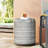 Tylei Concrete Top End Table