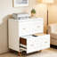 Classeur multifonctionnel, classeur de style nordique