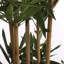 150cm Bamboo Tree in Pot