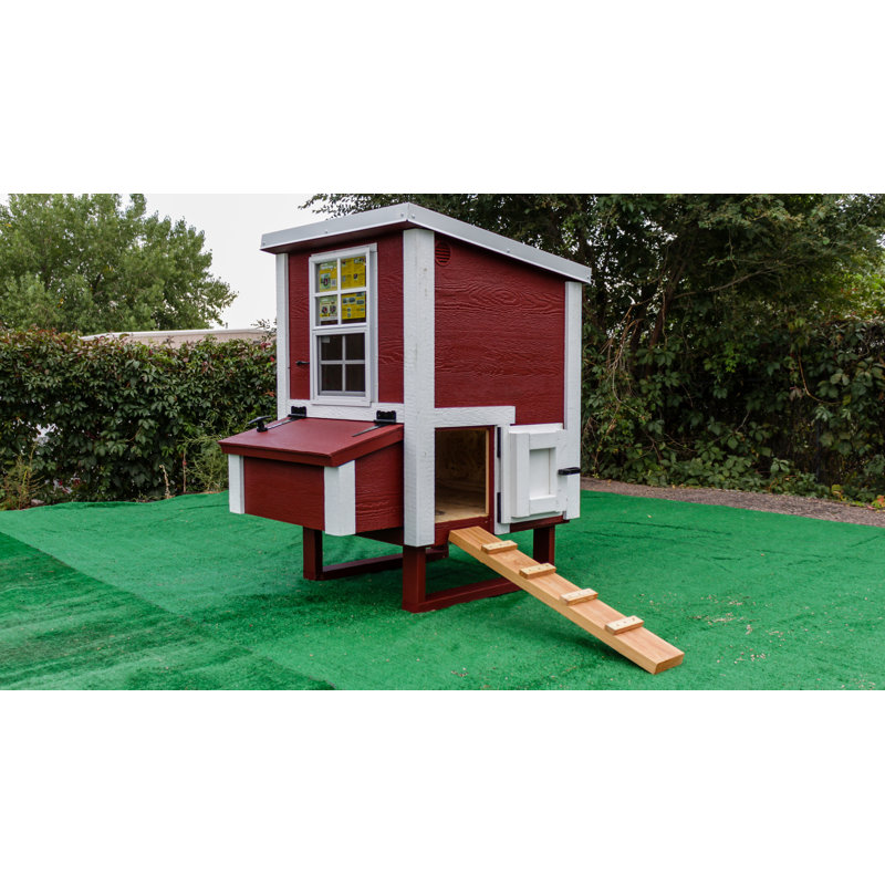 Poulailler avec nichoir pouvant accueillir jusqu'à 10 poulets, H 54,5 po x l 45 po x P 34 po