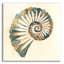 «Shell I» par Studio Mousseau-79918405