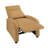 Modern Push Back Recliner-1332782575