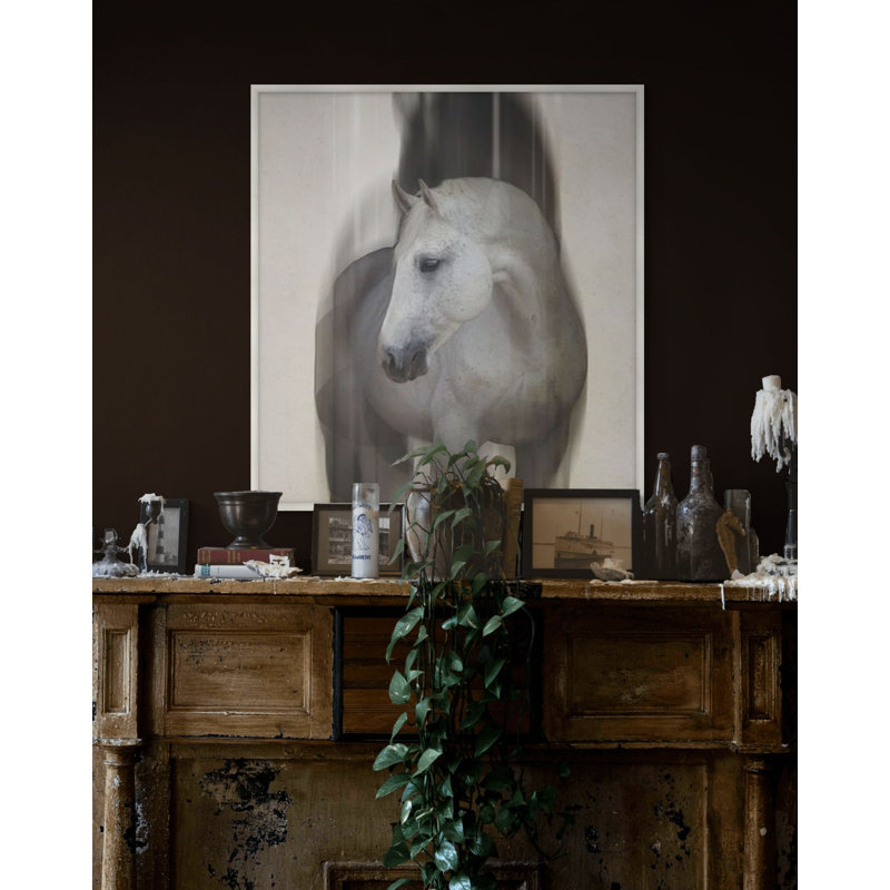 Animals Print by Studio L57 Narrative, 24.16" H x 22.16" W