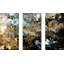 John 10:11. Our Shepherd's Love by Mark Lawrence - 3 Piece Wrapped Canvas Print-686143093