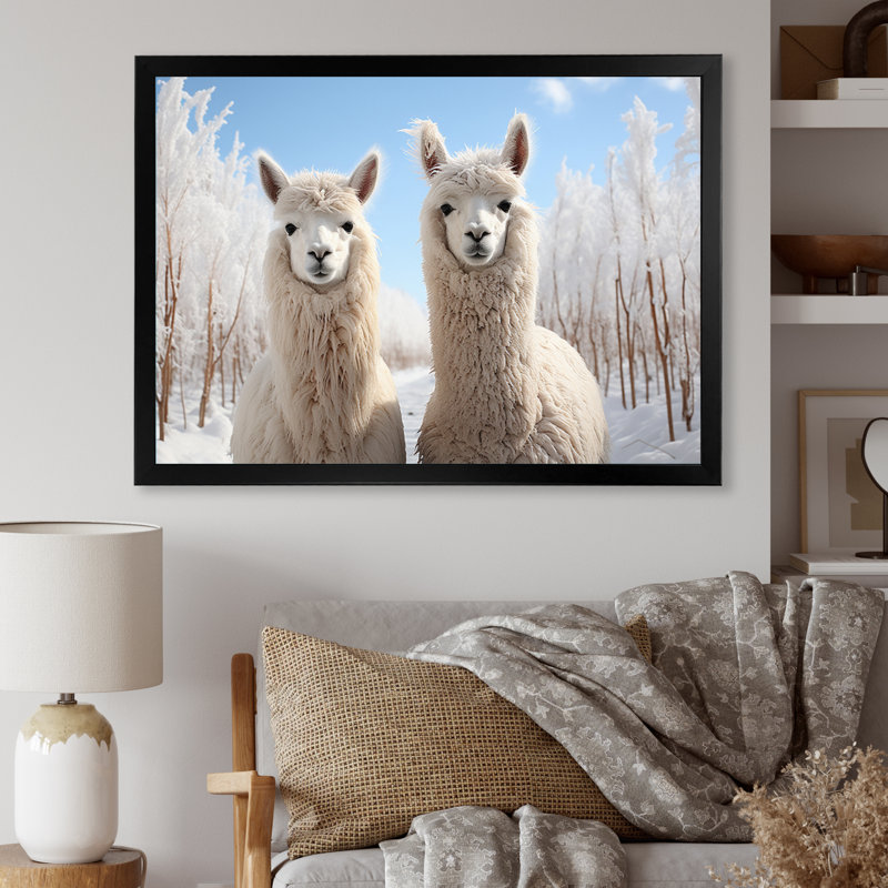 Alpagas Graceful Alpacas III - impression, H 34 po x l 44 po x P 1,5 po, Cadre photo noir