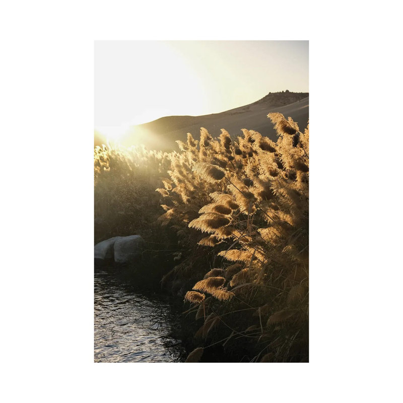 Nile Whisper by Gilliard Bressan - Gallery-Wrapped Canvas Giclée on Canvas, Wrapped Canvas