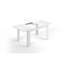 Annielee Extendable Dining Table