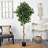 Faux Ficus Tree in Plastic Planter-192663129