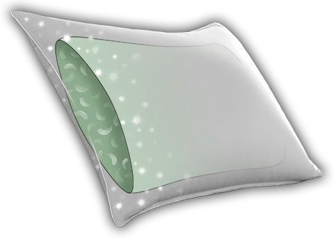 Francine Goose Down and Feather Blend Pillow, Queen