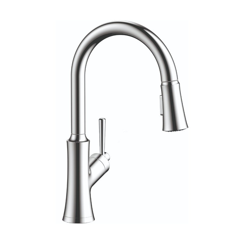 Joleena Pull Down Single Handle Kitchen Faucet, Chrome